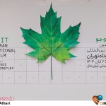 اسامی مستندهای بخش بین‌الملل فیلم کوتاه تهران اعلام شد – اخبار سینمای ایران و جهان