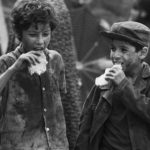 «سفر» بهرام بیضایی پس از پنج دهه به «لندن» می‌رود – اخبار سینمای ایران و جهان