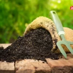 کود شیمیایی به کشورهای همسایه قاچاق می‌شود