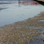 خزر در خطر/ آقای نماینده ! از دریای در حال خشک شدن، نمی‌شود تهران را نجات داد!