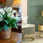 جدیدترین مدل گلدان گل طبیعی + با دیدن این گلدان ها برگاتون می ریزه جدیدترین مدل گلدان گل طبیعی + با دیدن این گلدان ها برگاتون می ریزه