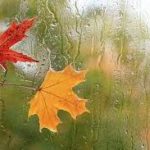 کاهش ۵۷.۳ درصدی بارش ها در کشور/ ۱۹ استان هیچ بارشی نداشتند – سلام نو