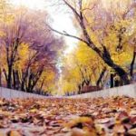 پاییز امسال کم‌بارش و زمستان با گرمای هوا – سلام نو