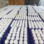 پیشنهاد جدید برای شفافیت در بازار تخم مرغ