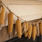 روش‌های ساده و سریع برای خشک کردن ذرت در خانه
