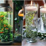 روشهای ساده برای زیبا کردن گیاهان داخل آب روشهای ساده برای زیبا کردن گیاهان داخل آب