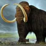 ۱۰ کاربرد DNA که زندگی ما را برای همیشه زیر و رو خواهد کرد!