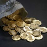 قیمت پیش‌فروش سکه طلا با سررسید ۳۰ دی‌ماه • مجله تصویر زندگی