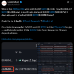 سود ۱۶۰ میلیون دلاری یک نهنگ بازار از ریزش بیت کوین