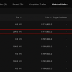 نهنگ معروف صرافی هایپرلیکویید حجم پوزیشن فروش بیت کوین خود را افزایش داد
