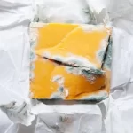 چرا پنیر در یخچال کپک می‌زند؟ 9 روش پیشگیری برای پنیر تازه و سالم