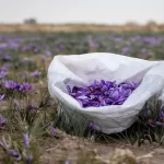 زعفران ایران پشت درهای بازار چین