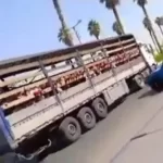 از ما مجوز نگرفته بودند