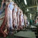 خبر خوش برای دامداران