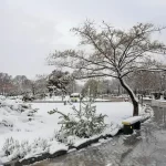 سرمای شبانه در ۵ مرکز استان ادامه دارد سرمای شبانه در ۵ مرکز استان ادامه دارد