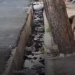 امام جمعه دست به بیل شد!