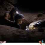 «رویاباف و قاضی» به اکران آنلاین می‌آید – اخبار سینمای ایران و جهان