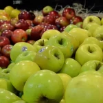 سیب ایرانی در سبد ۲۰ کشور دنیا؛ عراق بزرگ‌ترین خریدار