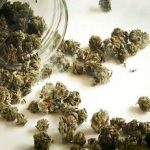 هشدار درباره مخدرهای جدید؛ «کِمیکال» و «بنزای» خطرناکتر از گل – سلام نو هشدار درباره مخدرهای جدید؛ «کِمیکال» و «بنزای» خطرناکتر از گل – سلام نو