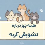 همه چیز درباره تشویقی گربه • مجله تصویر زندگی