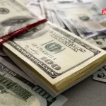 قيمت دلار امروز پنجشنبه 22 آبان 1404 / دلار به مرز 114 هزار تومان رسید + جدول قیمت‌ها