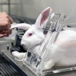 استفاده از روش‌های جایگزین حیوانات آزمایشگاهی، هزینه و زمان تحقیقات را کاهش می‌دهد