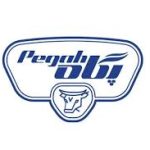 عرضه اولیه پگاه چهارشنبه 14 آبان 1404 – سلام نو