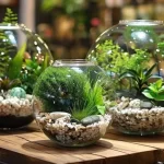 معرفی انواع تراریوم باز و بسته؛ تفاوتها و نکات نگهداری معرفی انواع تراریوم باز و بسته؛ تفاوتها و نکات نگهداری