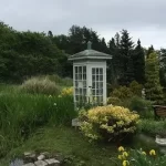 تلفن های باد، پدیده‌ای ژاپنی که به ابزاری جهانی برای تسکین سوگ تبدیل شد