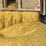 ورود سازمان بازرسی به واردات و توزیع نهاده‌های دامی