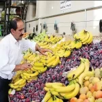 قیمت موز باید بسیار پایین تر باشد/ رانت واردات موز در قبال صادرات سیب