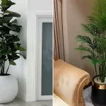 گلدان طبیعی کنار سالنی؛ ۱۵ مدل گیاهان مقاوم و تزئینی برای سالنهای داخلی گلدان طبیعی کنار سالنی؛ ۱۵ مدل گیاهان مقاوم و تزئینی برای سالنهای داخلی