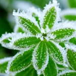 منافع اقتصادی ایران‌مال را تا دو دهه آینده در اختیار بخش خصوصی قرار دارد